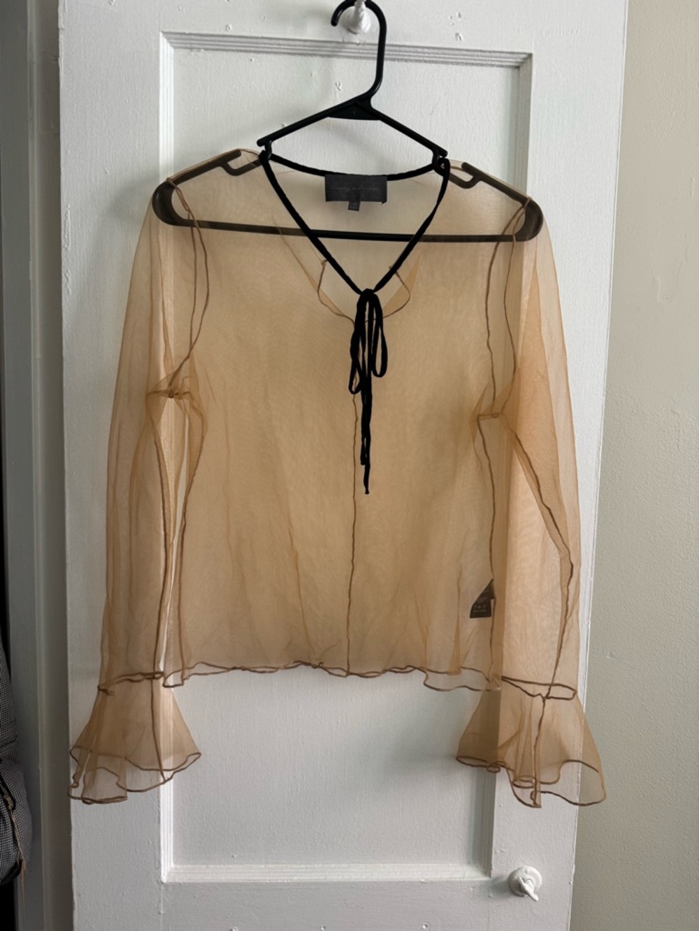 Sunday in Brooklyn Sheer Tie-Neck Ruffle Cuff Blouse - Tan/Black Trim